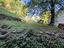 Immagine 26