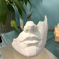 Maschera giapponese maschera expedition 33