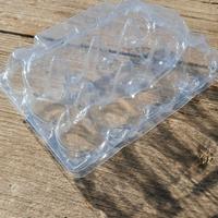 Contenitori per uova di quaglia