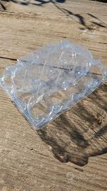 Contenitori per uova di quaglia