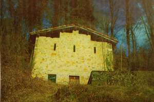 Rustico con bosco/prato