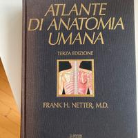 Atlante di anatomia umana Netter