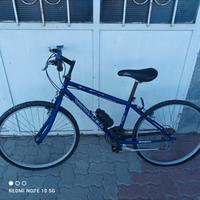 Bicicletta da ragazzo 