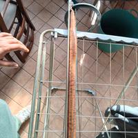 arbalete omer hf 110 limited editon