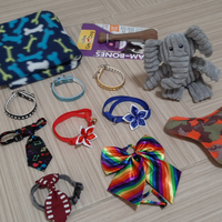 Giochi e accessori per Chihuahua