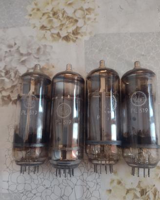 valvole termoioniche pl519 eq. pl509