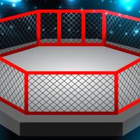 TELO / TELI PER RING DA BOXE E GABBIA MMA, 