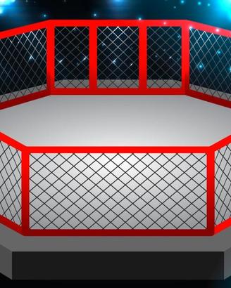 TELO / TELI PER RING DA BOXE E GABBIA MMA, 