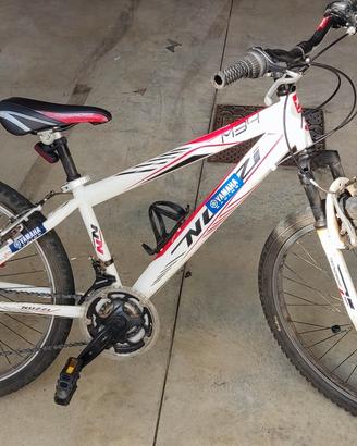 bicicletta Mountain bike 