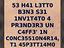 Immagine 11