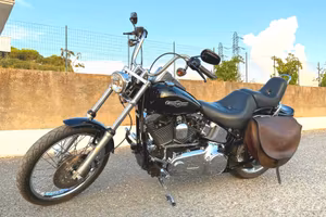 harley davidson softail custom 1580 
