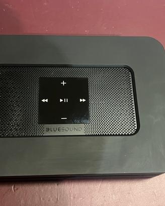Dispositivi streeming bose bluesound sonos