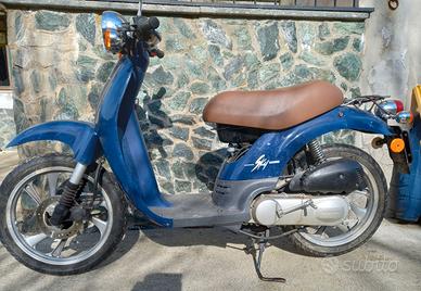 Honda Sky 50