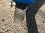 Immagine 5