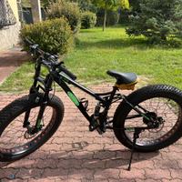 Fat bike mountain bike