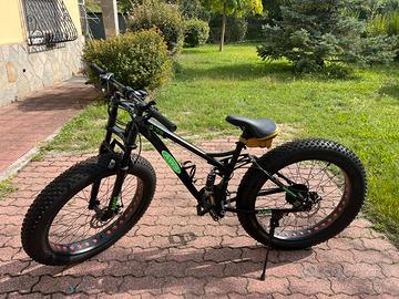 Fat bike mountain bike