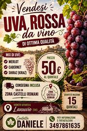 Uva da vino rossa