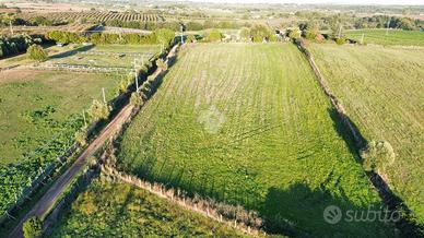 TER. AGRICOLO A BRACCIANO