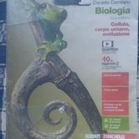 libro superiori usato ISBN 9788808440495