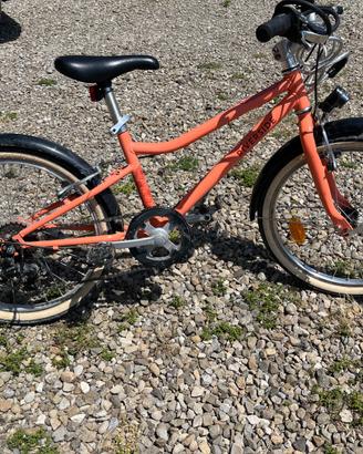 Bicicletta bimba 20 pollici
