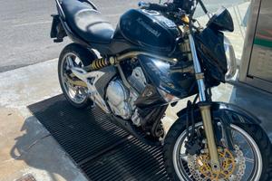 Kawasaki er6n