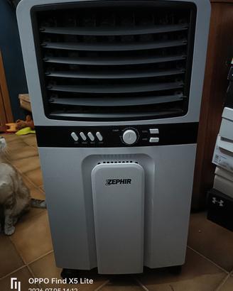 umidificatore caldo freddo 