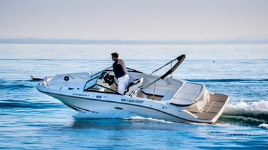 Sea Ray 210 Bow Rider
