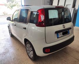 Fiat Panda 1.2 Easy Alluvionata