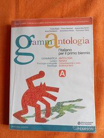 Libro di grammantologia