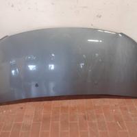 Cofano Citroen C3 Picasso 2009