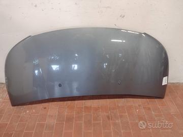 Cofano Citroen C3 Picasso 2009