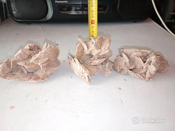 Pietre rosa del deserto