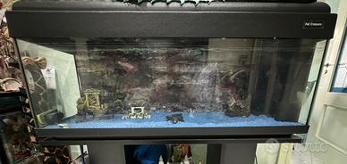 Acquario con mobiletto