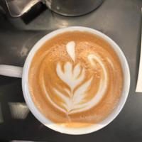 Barista cameriera