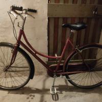 bici donna 26