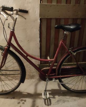 bici donna 26