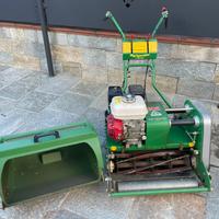 Tosa erba elicoidale