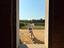Immagine 13