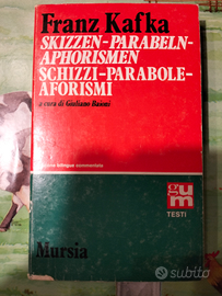 Franz Kafka skizzen parabeln aphorismen