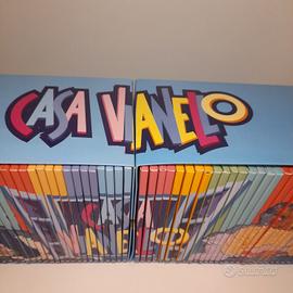 raccolta 68 DVD Casa Vianello
