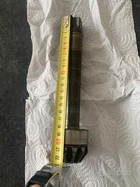 Pignone pasquali 721