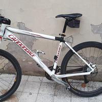 cannondale flash 26