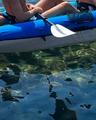 Bic kayaks