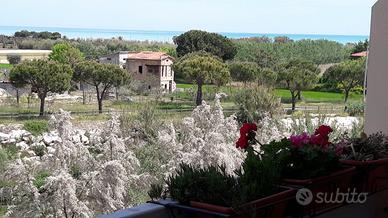 28-Bilo a periodo Alba Adriatica