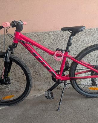 Scott 24 contessa