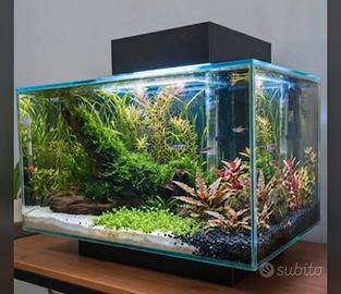 acquario fluval edge