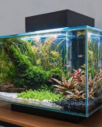 acquario fluval edge