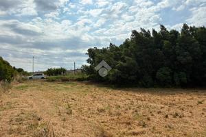 TER. RESIDENZIALE A SELLIA MARINA