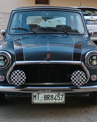Austin rover mini