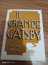 Libro Il Grande Gatsby 